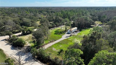 Welcome to this amazing 6.35 acre ranch property where privacy - photo 4