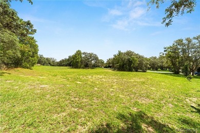 Vacant Lot in Black Diamond Ranch, one of Florida's premier - photo 11