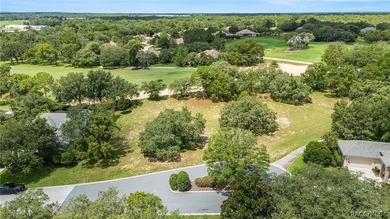 Vacant Lot in Black Diamond Ranch, one of Florida's premier - photo 13