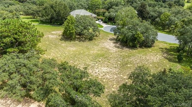 Vacant Lot in Black Diamond Ranch, one of Florida's premier - photo 17