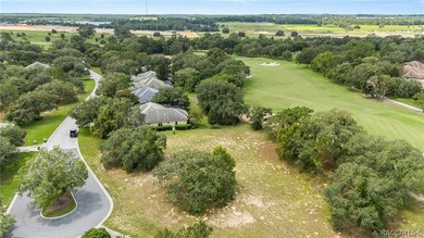 Vacant Lot in Black Diamond Ranch, one of Florida's premier - photo 20