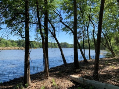 22.38 Private, Wooded, Waterfront Acres on Lake Palestine! - photo 6