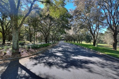 Vacant Lot in Black Diamond Ranch, one of Florida's premier - photo 30