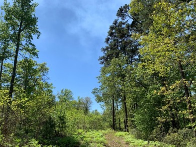 22.38 Private, Wooded, Waterfront Acres on Lake Palestine! - photo 18