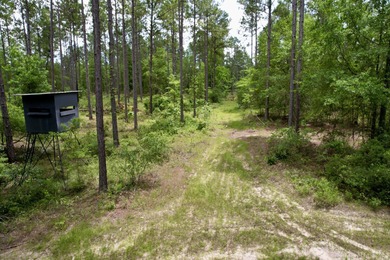 (private lake, pond, coastal) Acreage For Sale in Eastman Georgia