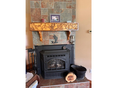 BEAUTIFUL HOME-PRIVATE LOCATION -ON LAKE OMAHA-Ski Lake. 1-OWNER - photo 5