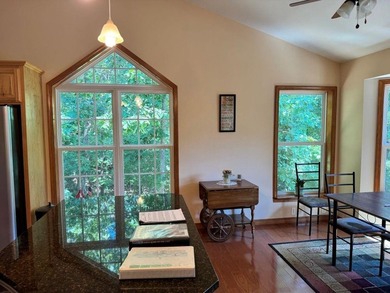 BEAUTIFUL HOME-PRIVATE LOCATION -ON LAKE OMAHA-Ski Lake. 1-OWNER - photo 10