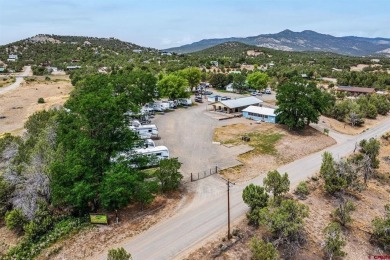 Navajo Reservoir Commercial For Sale in Arboles Colorado