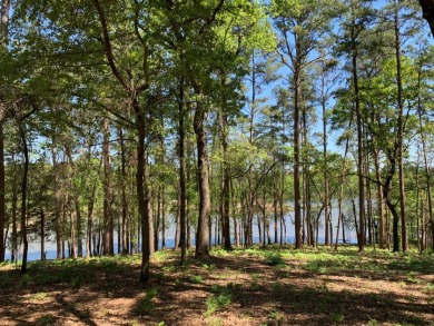 22.38 Private, Wooded, Waterfront Acres on Lake Palestine! - photo 11