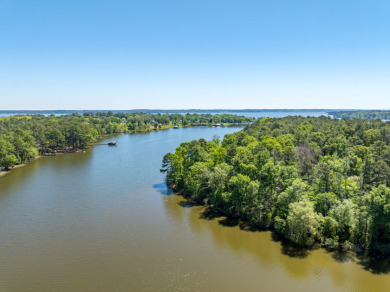 22.38 Private, Wooded, Waterfront Acres on Lake Palestine! - photo 7