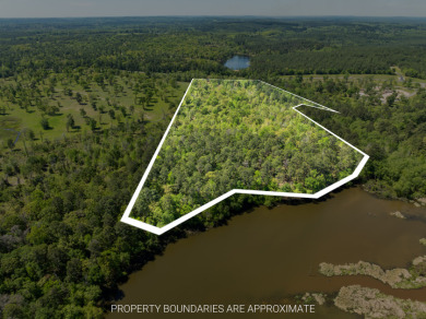 22.38 Private, Wooded, Waterfront Acres on Lake Palestine! - photo 2