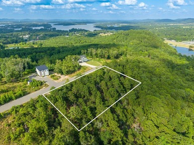 Want Mt. Riante views for you new home, then this is your chance - photo 2