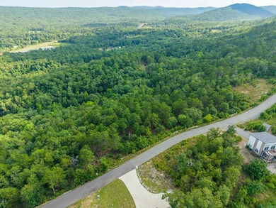 Want Mt. Riante views for you new home, then this is your chance - photo 5