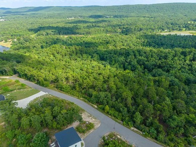 Want Mt. Riante views for you new home, then this is your chance - photo 6
