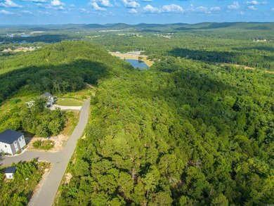 Want Mt. Riante views for you new home, then this is your chance - photo 7