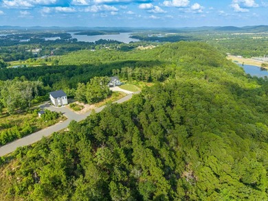 Want Mt. Riante views for you new home, then this is your chance - photo 8