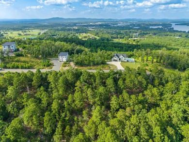 Want Mt. Riante views for you new home, then this is your chance - photo 9