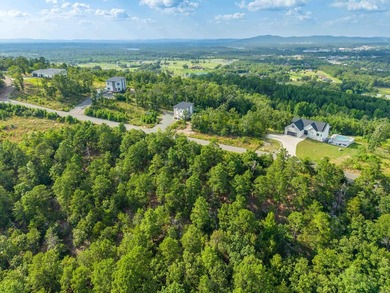 Want Mt. Riante views for you new home, then this is your chance - photo 10