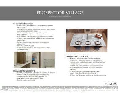 Build your Dream Home in Prospector Village at Superstition - photo 13