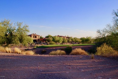 Build your Dream Home in Prospector Village at Superstition - photo 20