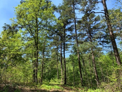 22.38 Private, Wooded, Waterfront Acres on Lake Palestine! - photo 14