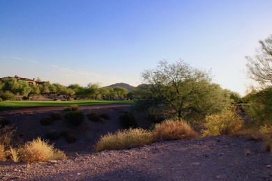 Build your Dream Home in Prospector Village at Superstition - photo 21