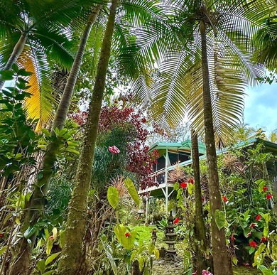 Nestled among towering palms & vibrant tropical foliage, this - photo 2