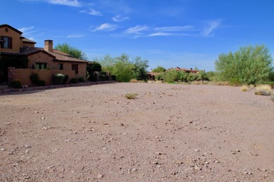 Build your Dream Home in Prospector Village at Superstition - photo 23