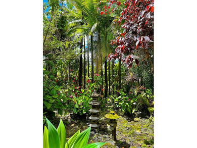 Nestled among towering palms & vibrant tropical foliage, this - photo 3
