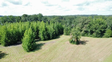 Lake Acreage For Sale in Tuscaloosa, Alabama