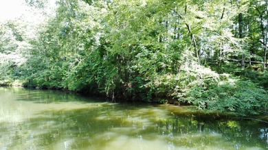 Looking to build your dream home or vacation home on Lake - photo 2