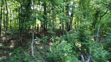 Looking to build your dream home or vacation home on Lake - photo 3