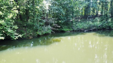Looking to build your dream home or vacation home on Lake - photo 4