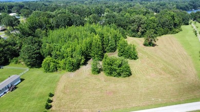 Looking to build your dream home or vacation home on Lake - photo 5