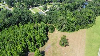Looking to build your dream home or vacation home on Lake - photo 6