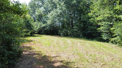 Looking to build your dream home or vacation home on Lake - photo 8
