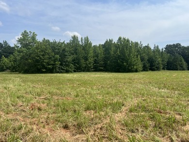 Looking to build your dream home or vacation home on Lake - photo 9