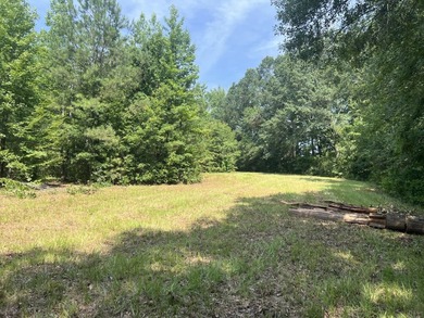 Looking to build your dream home or vacation home on Lake - photo 10