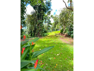 Opaeka'a Stream - Unit 5 - of Wailua Oasis - Seller will - photo 3