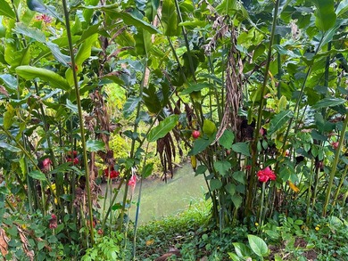 Opaeka'a Stream - Unit 5 - of Wailua Oasis - Seller will - photo 8