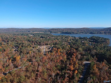 Neely Henry Lake Lot For Sale in Southside Alabama