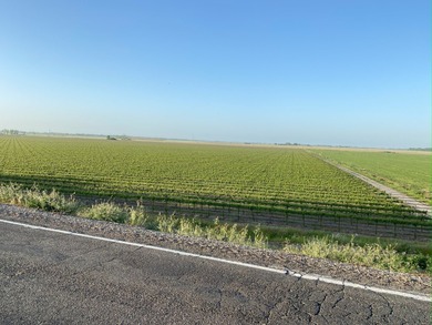 Sacramento River - Yolo County Acreage For Sale in Clarksburg California