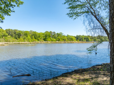 22.38 Private, Wooded, Waterfront Acres on Lake Palestine! - photo 4