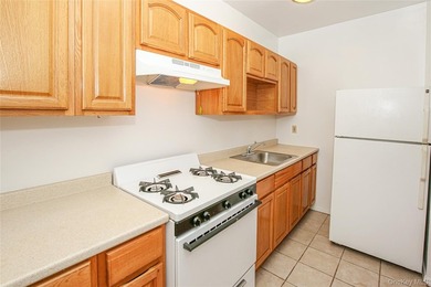 immaculate R6b zoned 4 family. All market rate units. stainless - photo 11