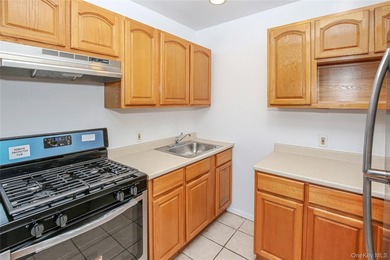 immaculate R6b zoned 4 family. All market rate units. stainless - photo 17