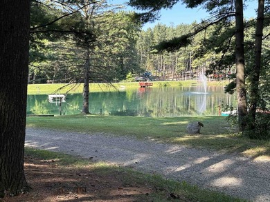 Right on the edge of Lake James Chain of Lakes, Valley Of The - photo 23
