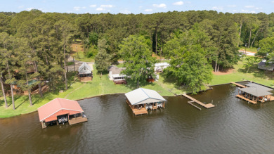 Waterfront Lakehouse on Lake Cherokee! - photo 29
