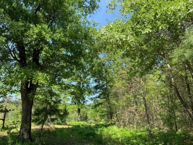 22.38 Private, Wooded, Waterfront Acres on Lake Palestine! - photo 19