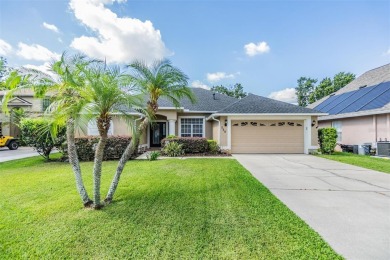 Lake Home Sale Pending in Brandon, Florida