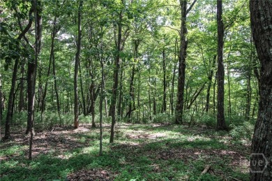 Lake Lot For Sale in , Georgia